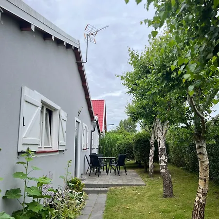 Letniskowe Eliza * Chłopy